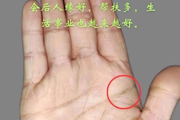 揭秘手相与面相：如何通过面部特征和手纹预测未来