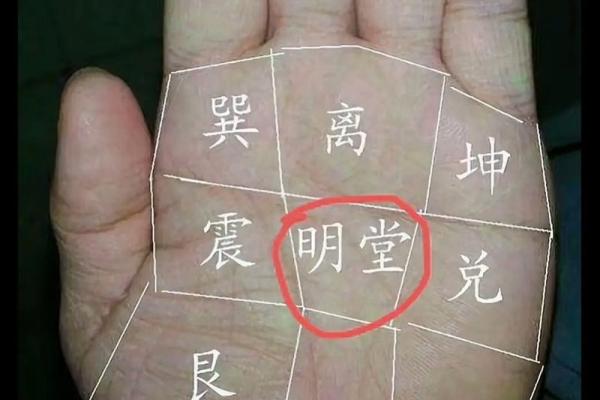 揭秘手相与面相：如何通过面部特征和手纹预测未来