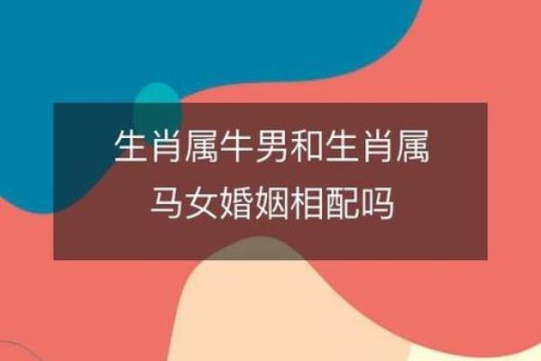 女牛男虎婚姻是否合适？分析两者性格与婚姻契合度
