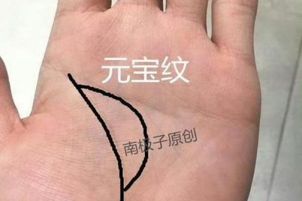 王大有手相：预测人生走向的关键手部特征