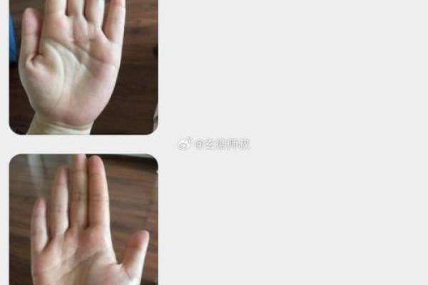 王大有手相：预测人生走向的关键手部特征