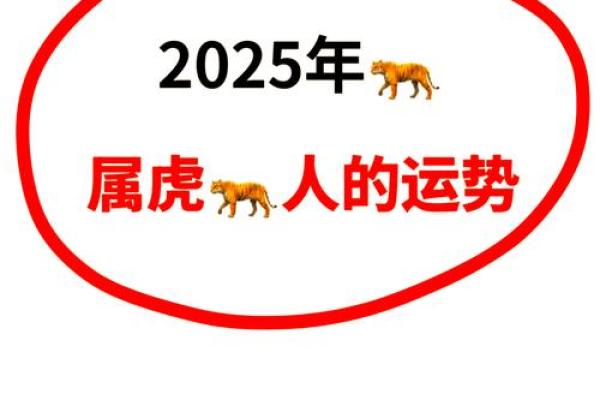 年生肖运势：你准备好迎接新一年挑战了吗？