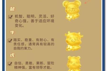 十二生肖与性格关系揭秘：你属于哪种性格类型