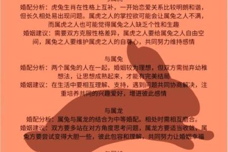 牛与兔的生肖配对：是冲突还是互补？