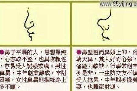 鼻子宽的面相解析及其对命运的影响
