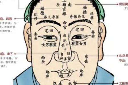 从面相变化看个人运势的微妙转变