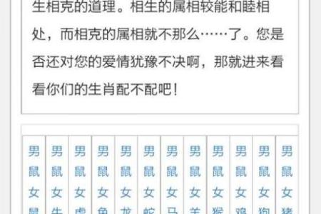 女蛇男虎婚姻配对分析：优势与挑战解析
