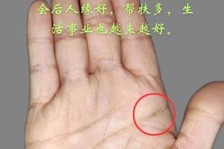 揭秘手相与面相：如何通过面部特征和手纹预测未来
