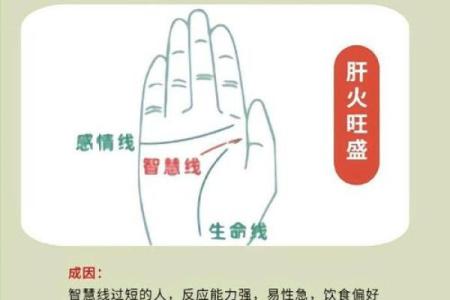 揭秘手相奥秘：如何通过手相了解自己的人生轨迹