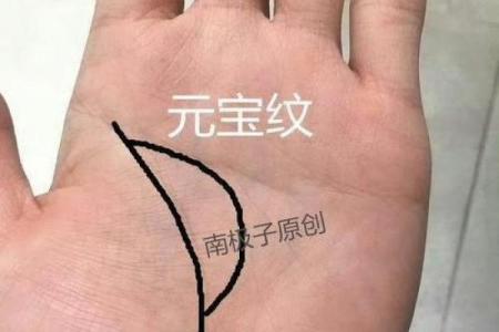 王大有手相：预测人生走向的关键手部特征