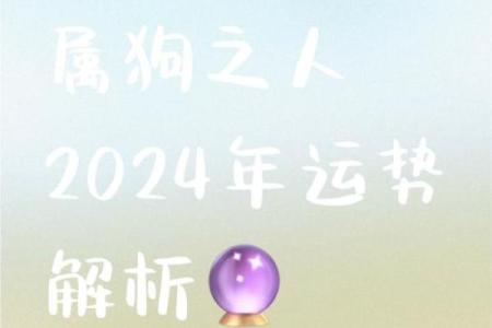 年生肖运势：你准备好迎接新一年挑战了吗？