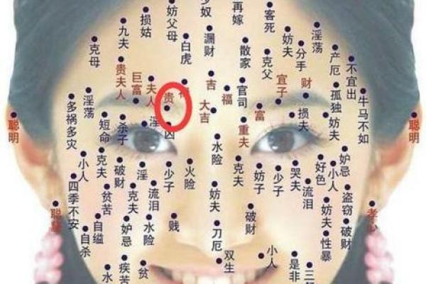 眉毛形态与风水：揭示你的性格与运势