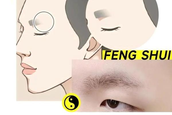 眉毛形态与风水：揭示你的性格与运势