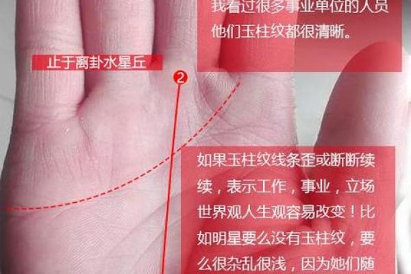 老板命手相：如何从手相中看出你的事业潜力