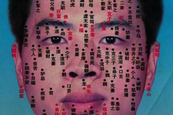 探索痣相的奥秘：从痣的位置看人生方向