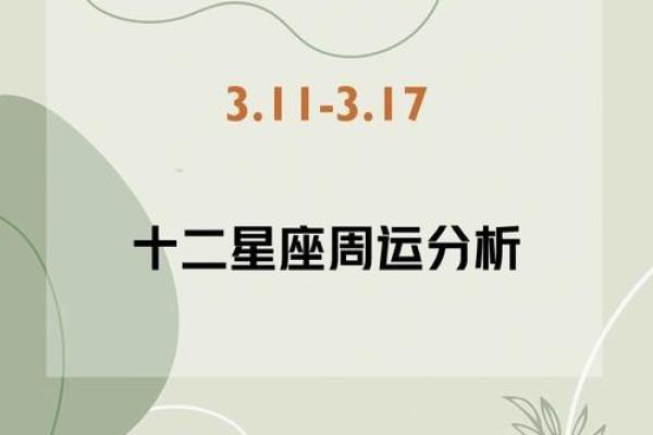 年运势指南：生活与事业的双重突破