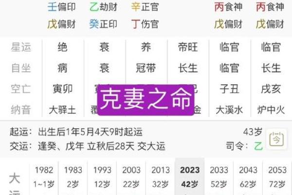 八字临官是什么意思及其在命理中的重要性解析