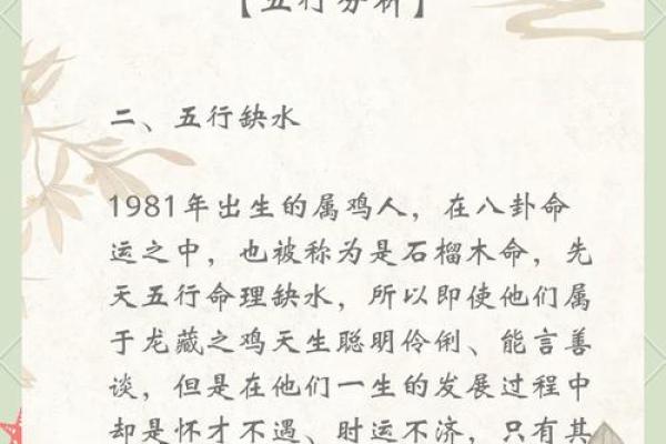 给男鸡宝宝起名推荐 从五行八字到性格分析