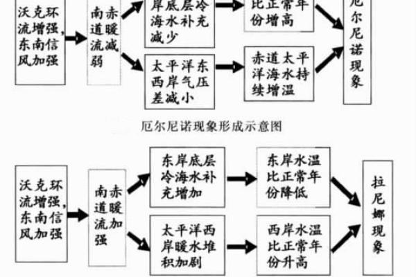 你了解饿命吗？探索这一现象对个人与社会的影响