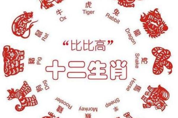 蛇和猪婚姻配对：性格互补与挑战并存的关系分析