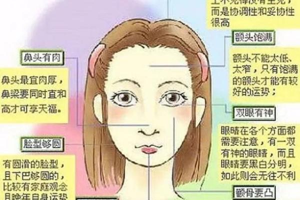 面相入门：教你如何识别不同面部特征的含义
