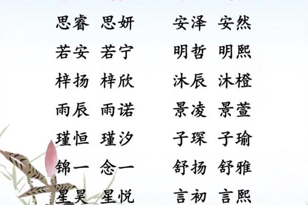女宝宝命名秘籍：赋予独特与幸运的名字选择