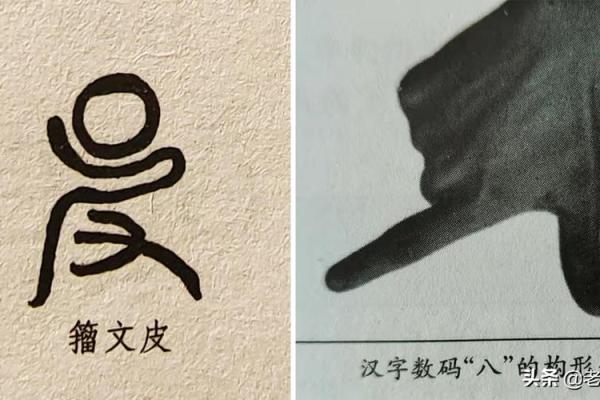 八字大写正确写法与技巧详解