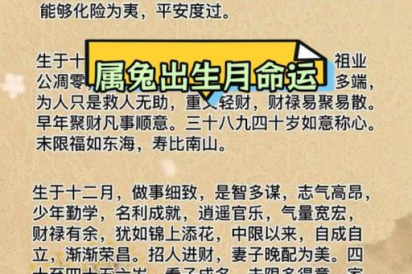属兔人的五行命理与人生运势