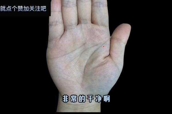 龙纹在手相中的特殊意义：掌握人生的关键