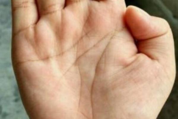 龙纹在手相中的特殊意义：掌握人生的关键