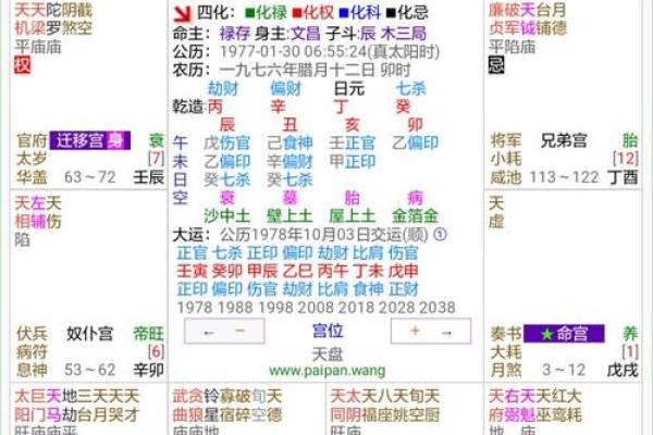 手机排盘功能解析与使用指南