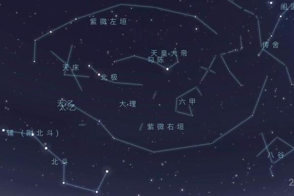 紫薇盘排的奥秘：一文看懂如何解读个人星图