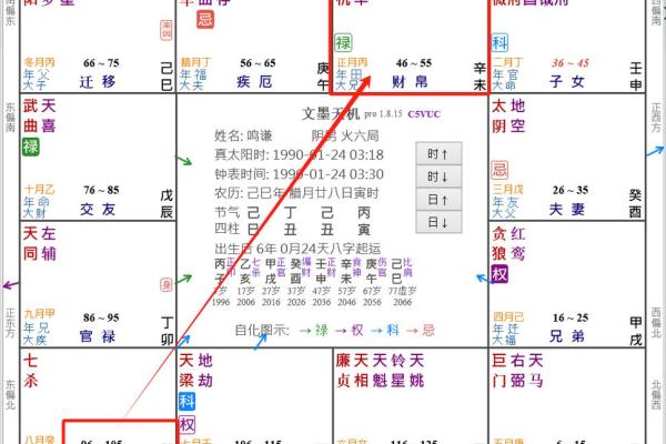 紫薇盘排的奥秘：一文看懂如何解读个人星图