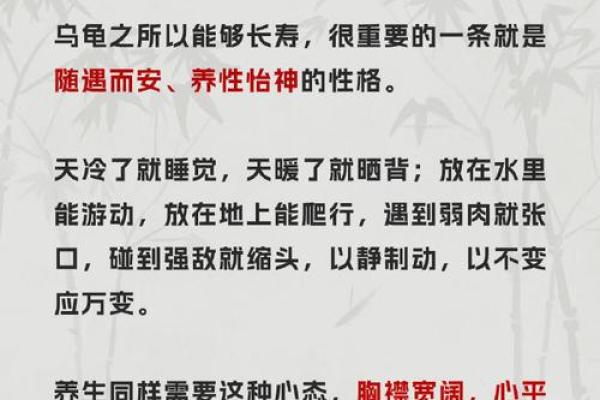 修道人的八字特征解析：探索内在修行的生命密码