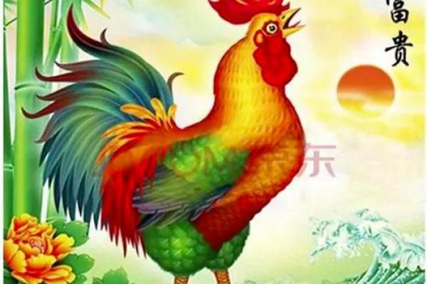 女鸡与男猪的婚姻运势：性格差异与和谐的可能性