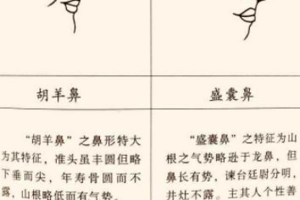 细看鼻型面相，揭示你的财富与健康运程