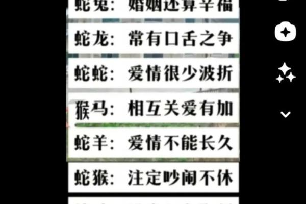 蛇和鼠婚姻配对的优缺点探讨