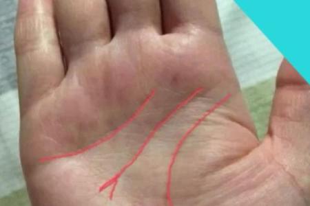 劳碌手相与心灵的关系：辛劳背后的心理暗示