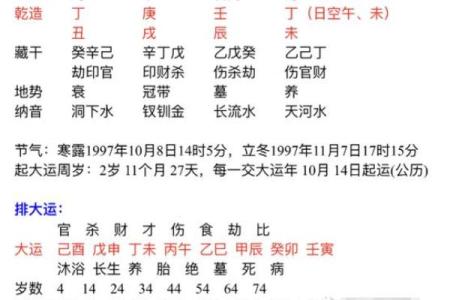 董易奇八字免费测试，快速获取精准命理分析