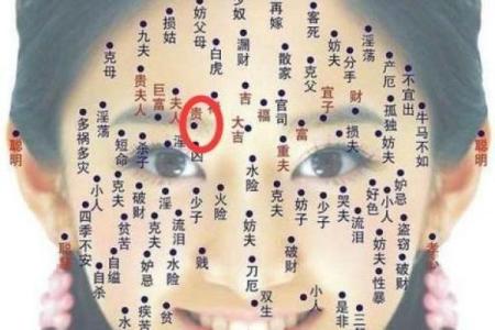 眉毛形态与风水：揭示你的性格与运势