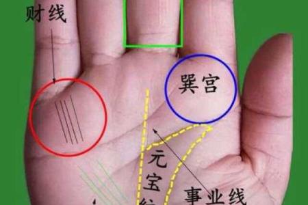老板命手相：如何从手相中看出你的事业潜力