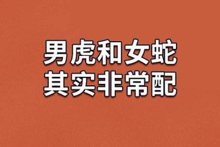 生肖虎与哪些生肖搭配最和谐