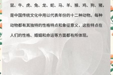 蛇兔配对的婚姻生活：共同成长还是性格冲突