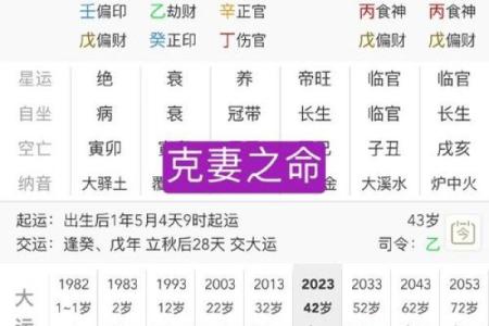 八字临官是什么意思及其在命理中的重要性解析