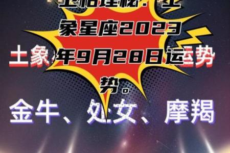 金牛座今日运势解析：掌握今日的幸运与挑战