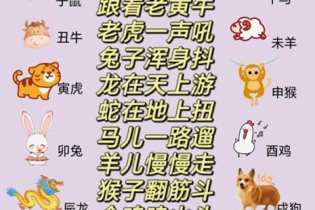 孩子属什么生肖解析