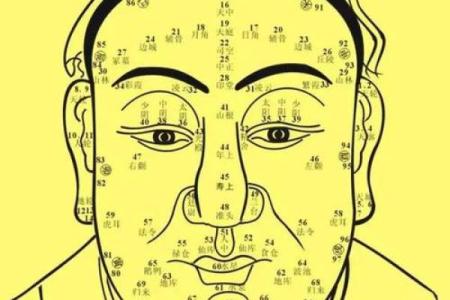 面相入门：教你如何识别不同面部特征的含义