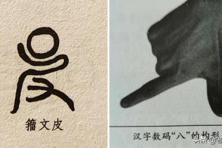 八字大写正确写法与技巧详解