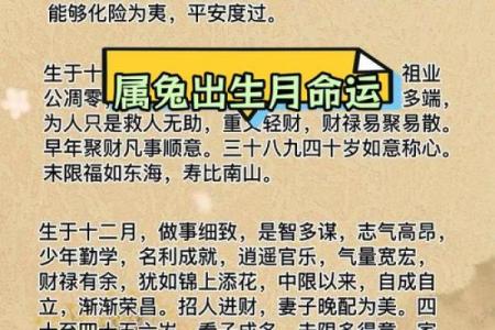 属兔人的五行命理与人生运势