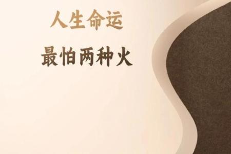 火兔命如何影响人生走向